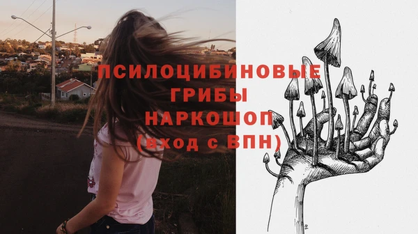 Альфа ПВП Арсеньев