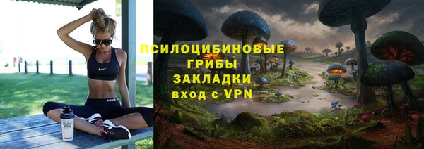 Альфа ПВП Арсеньев