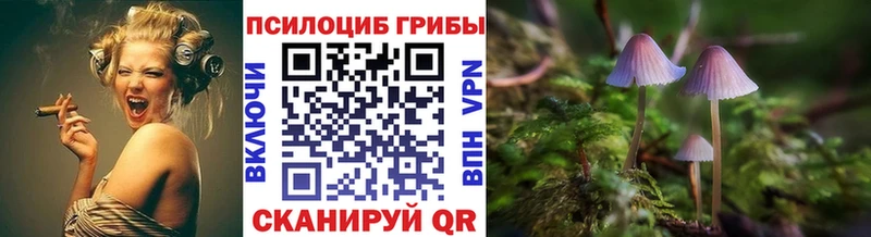 shop клад где купить наркоту Старая Русса Галлюциногенные грибы MAGIC MUSHROOMS